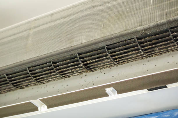 Best Affordable Duct Cleaning Services  in Yuma, CO